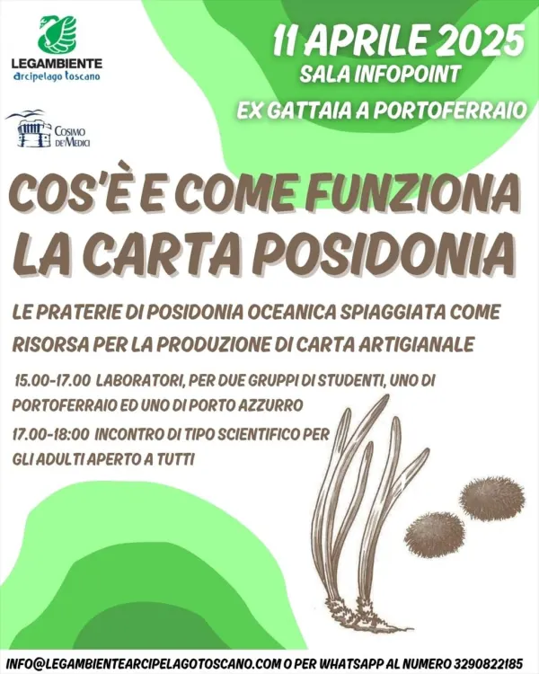 Cos’è e come funziona la carta Posidonia