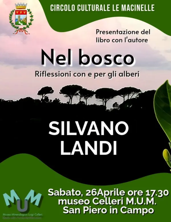 Nel bosco - Riflessioni con e per gli alberi