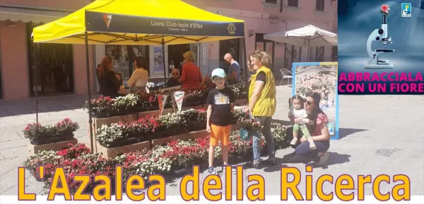 L'Azalea della ricerca