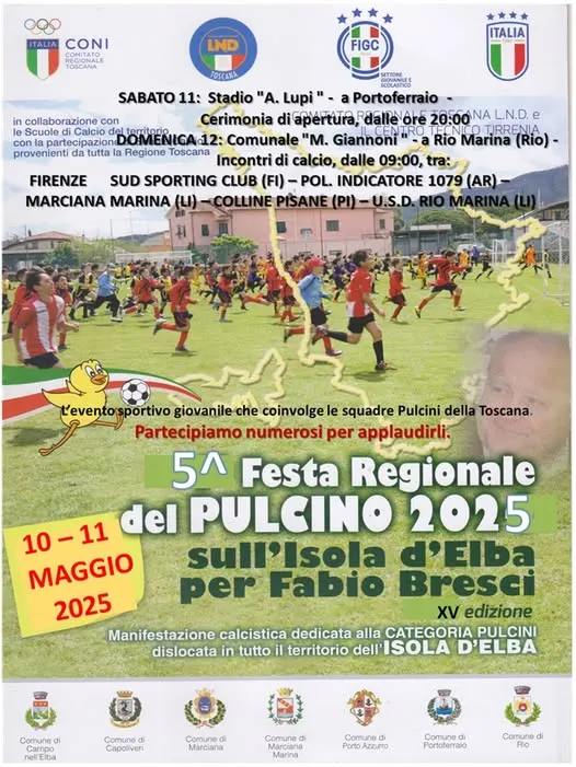 Festa del Pulcino
