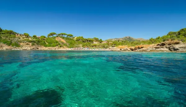Snorkeling naturalistico in barca "da Reale"