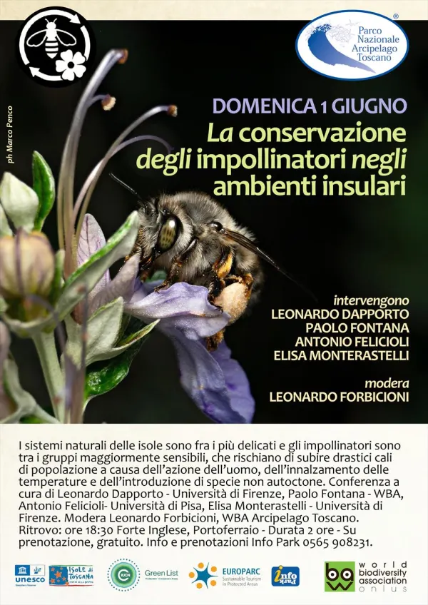 La conservazione degli impollinatori negli ambienti insulari