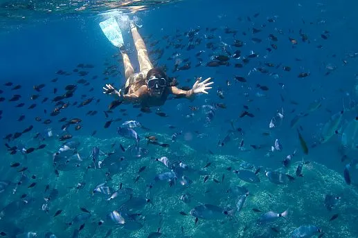 Snorkeling naturalistico in barca "da Cavo"