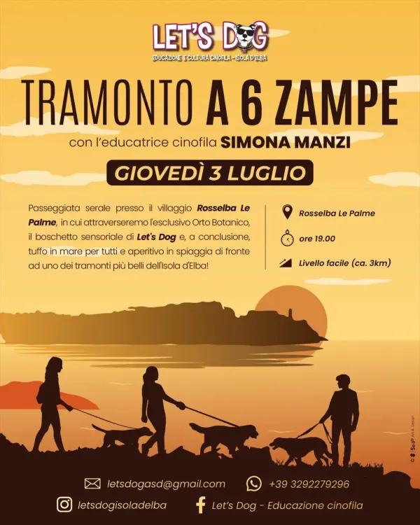 Tramonto a 6 zampe