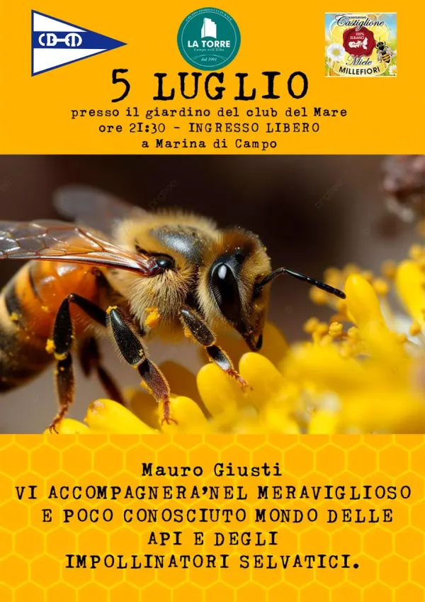 Il meraviglioso mondo delle api