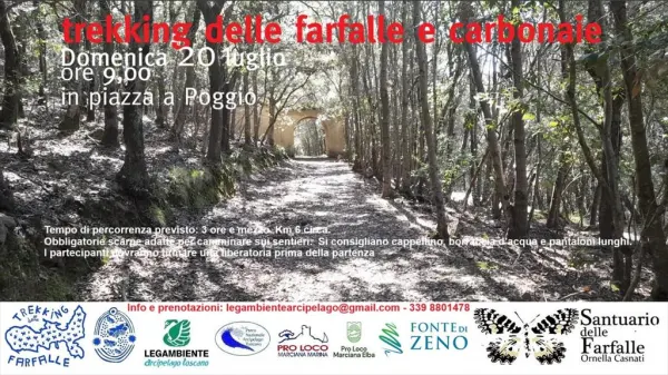 Trekking delle farfalle e carbonaie