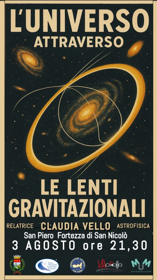 L'Universo attraverso le lenti gravitazionali