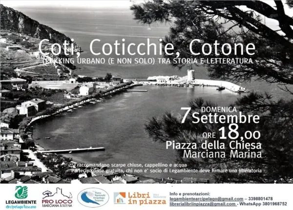 Coti, Coticchie e Cotone