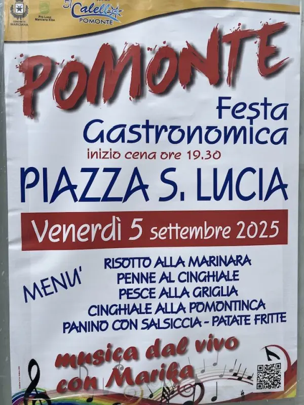 Festa Gastronomica