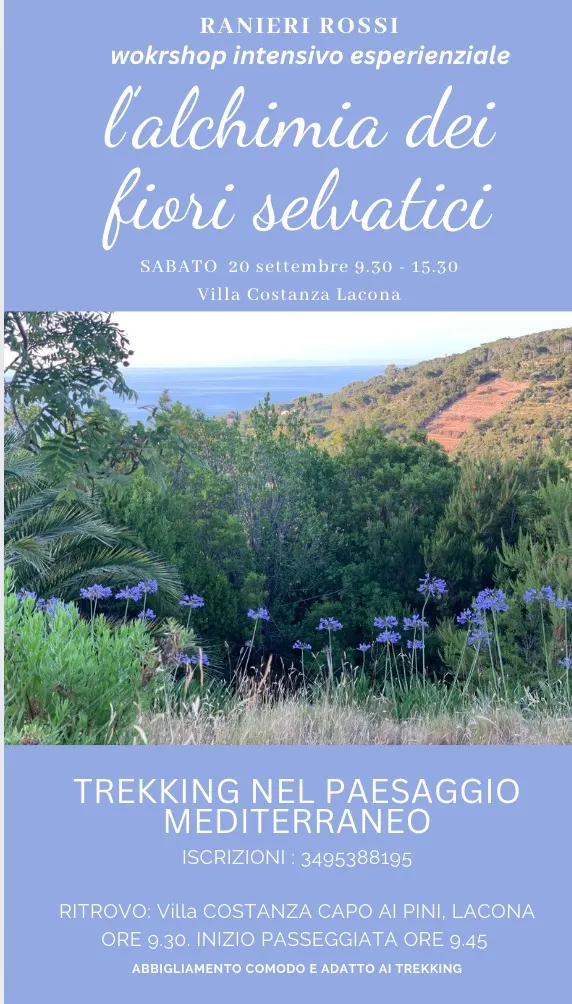 L’Alchimia dei fiori selvatici 