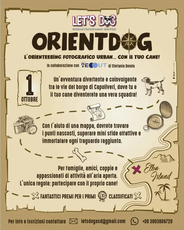OrientDog