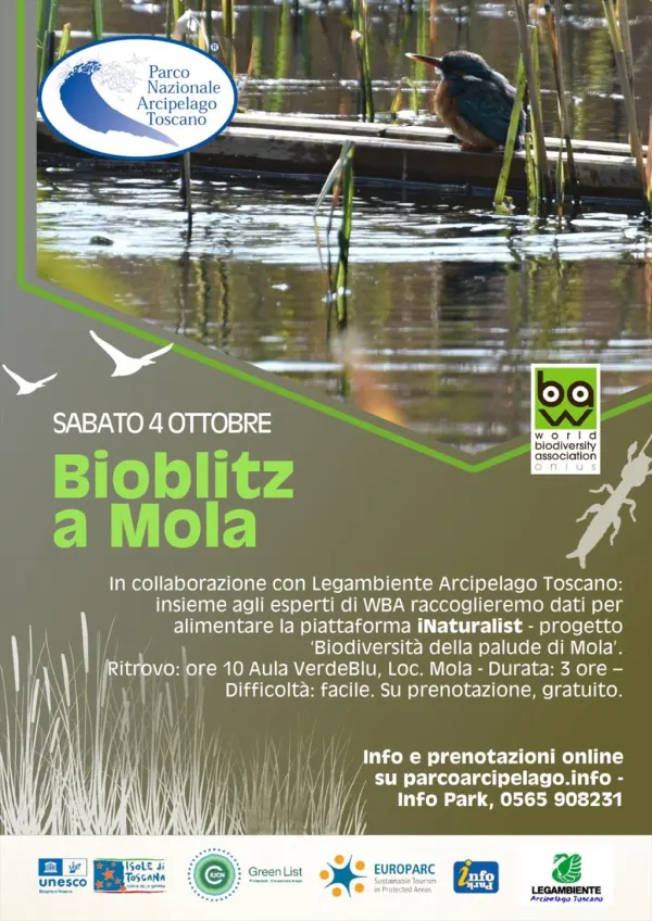 Biodiversità a Mola - Bioblitz con iNaturalist