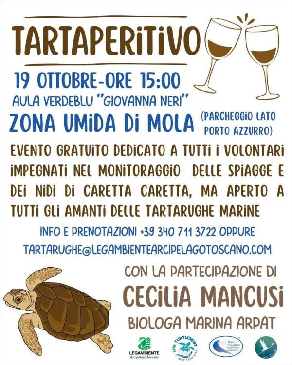 Tarta-aperitivo