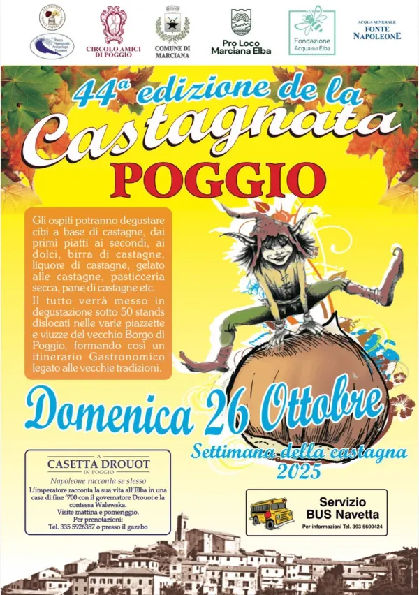 Castagnata