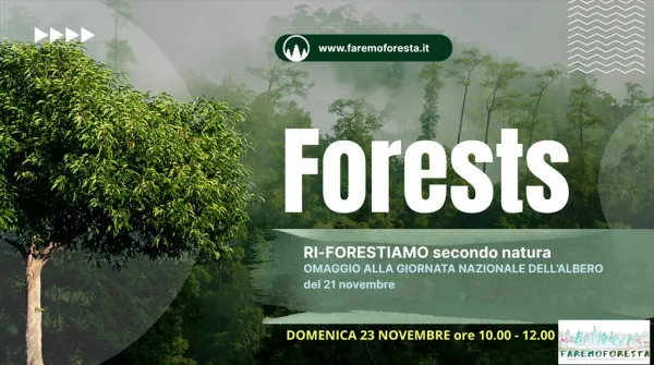 Forests – RI-FORESTIAMO secondo natura 