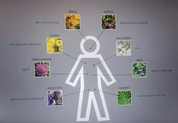 MUMLAB – Laboratorio di botanica per famiglie