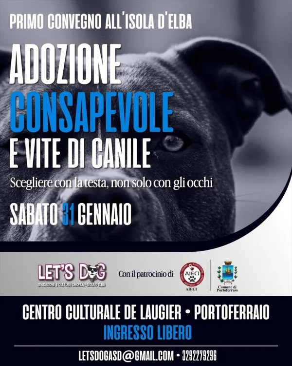 Adozione consapevole e vite di canile