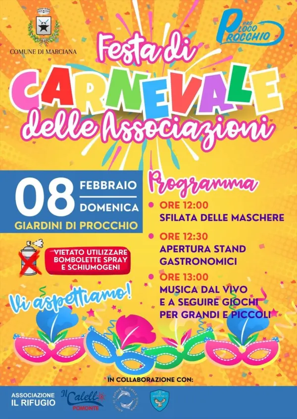 Festa di Carnevale delle Associazioni