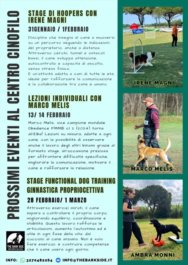 Stage di Functional Dog Training – Ginnastica propriocettiva