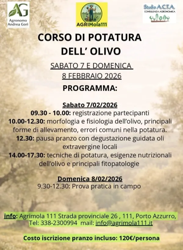 Corso di potatura dell’olivo