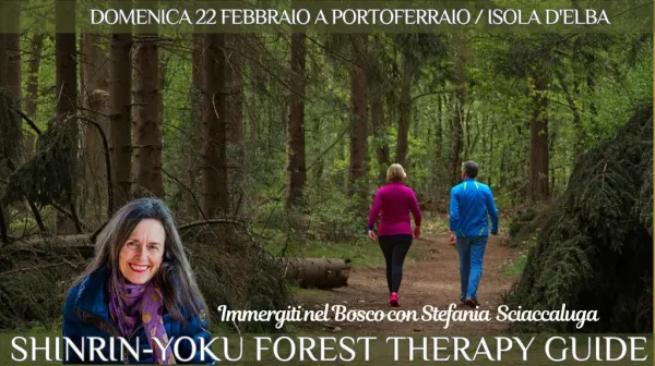 Shinrin Yoku - Forest Terapy Guide a Scaglieri