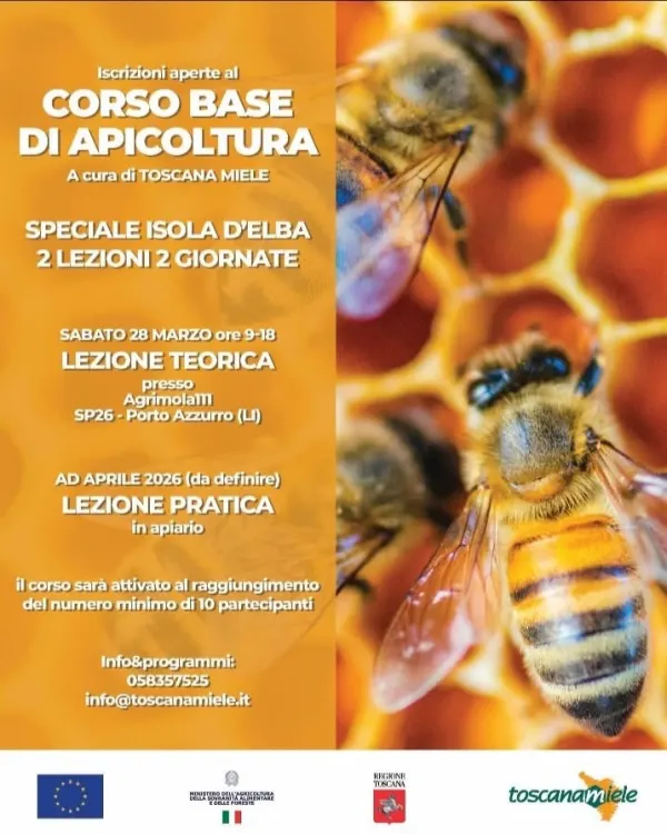 Corso base di apicoltura - Lezione teorica