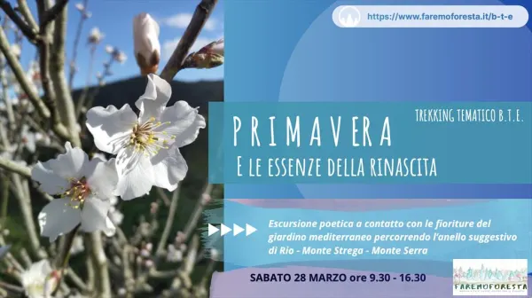 Primavera e le essenze della rinascita