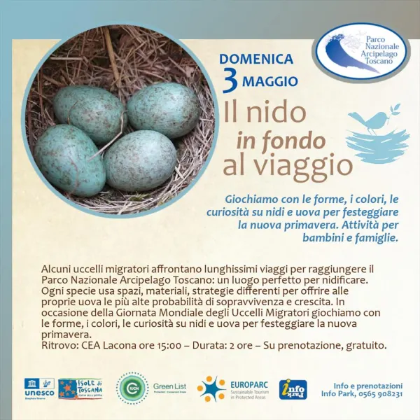 Il nido in fondo al viaggio - laboratorio per bambini e famiglie