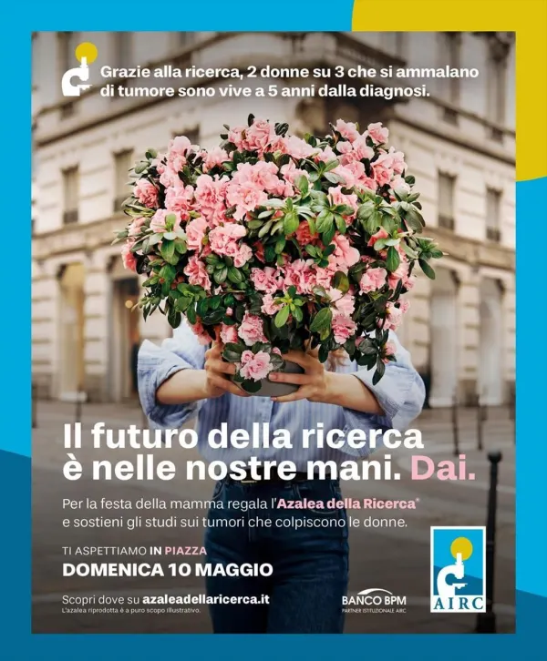 Azalea della Ricerca