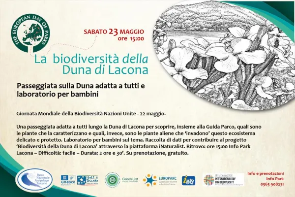 Quando gli alieni atterrano... sulla Duna!