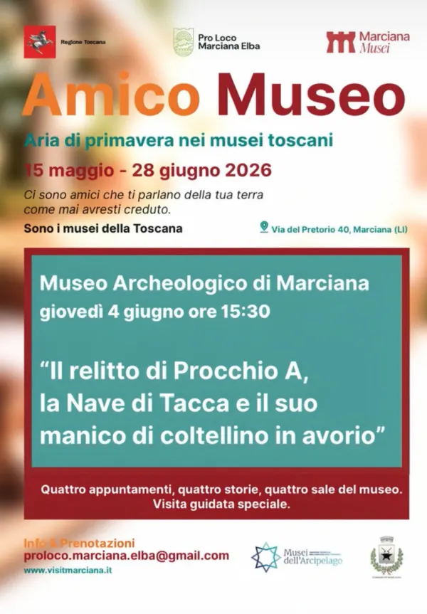 Il relitto di Procchio A, la Nave di Tacca e il suo manico di coltellino in avorio