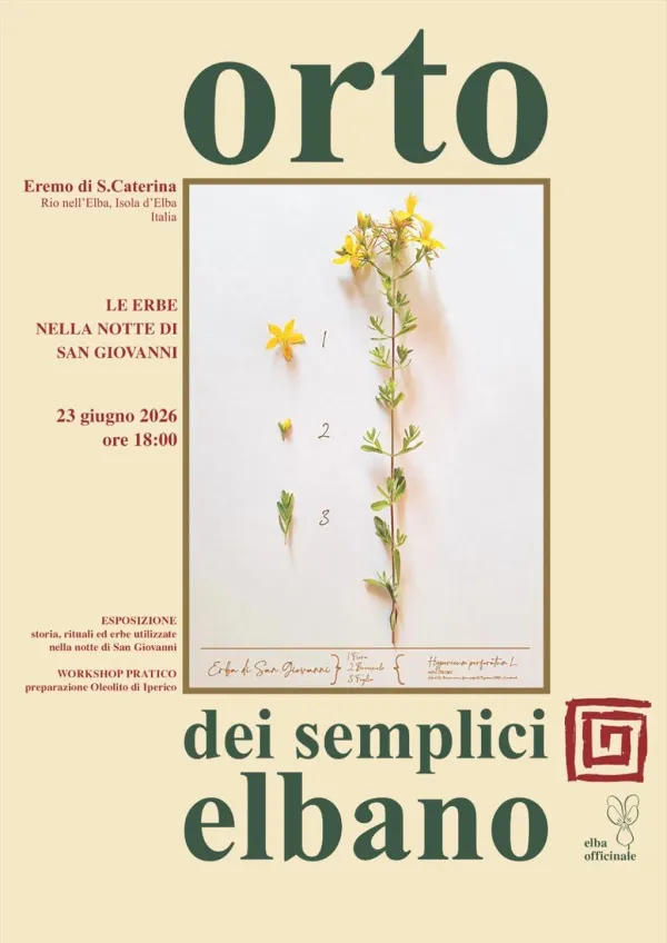 Le erbe nella notte di San Giovanni
