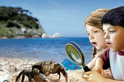 Laboratori e attività in spiaggia - Estate nel Parco Junior