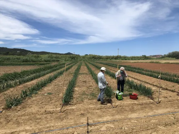 Agrobiodiversità: La Banca dei semi