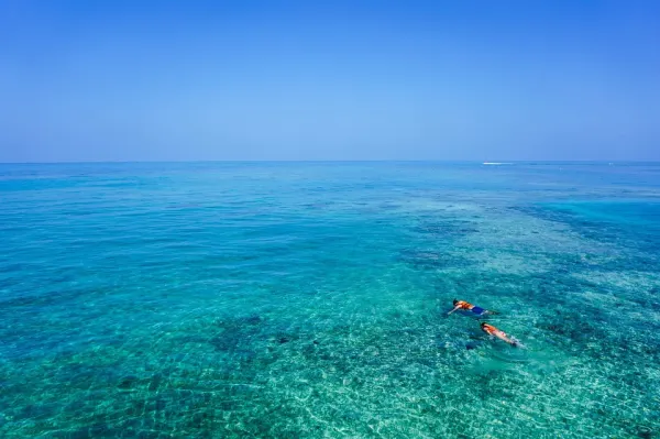 Snorkeling con Guida Parco