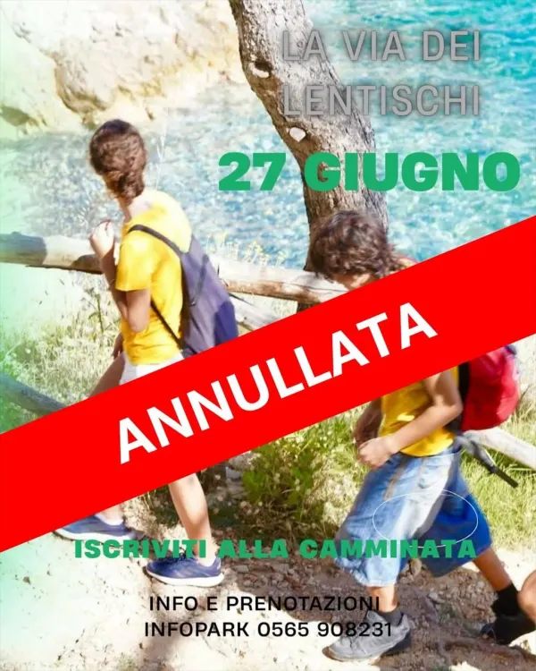 Festival SEIF 2026 - La Via dell’Essenza - EVENTO CANCELLATO