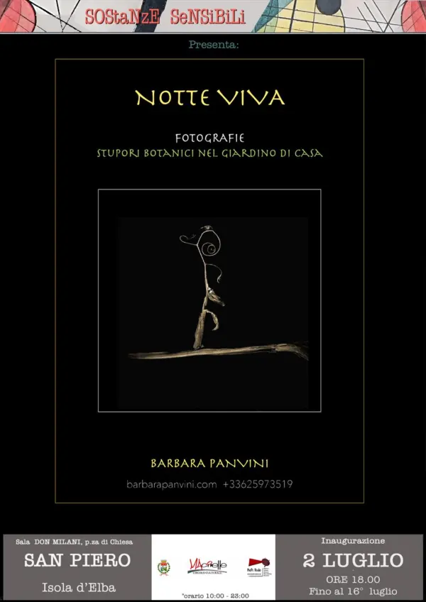 Mostra fotografica “Notte viva” di Barbara Panvini