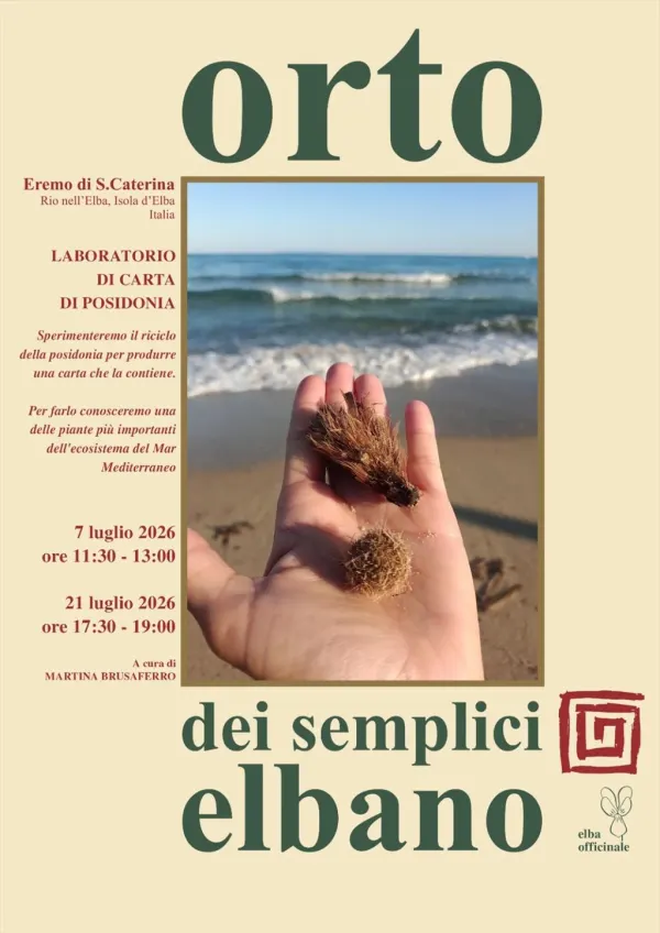 Laboratorio di carta di Posidonia