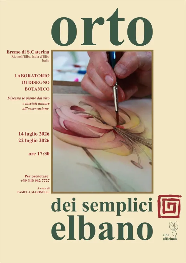 Laboratorio di disegno botanico