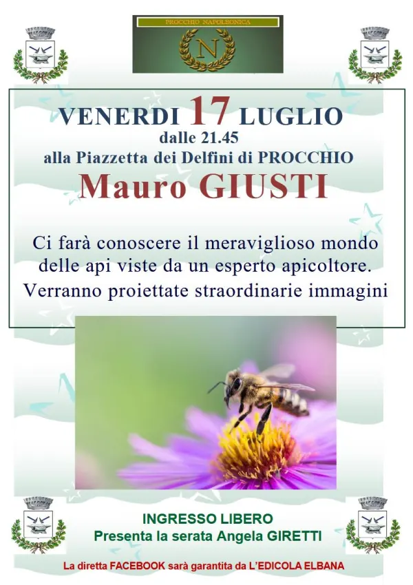 Il mondo delle api