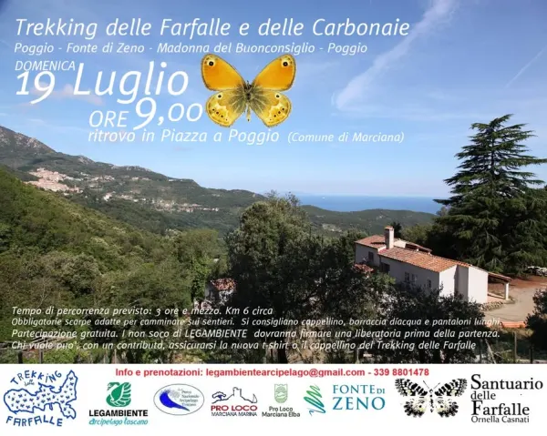Farfalle e Carbonaie - Trekking delle Farfalle