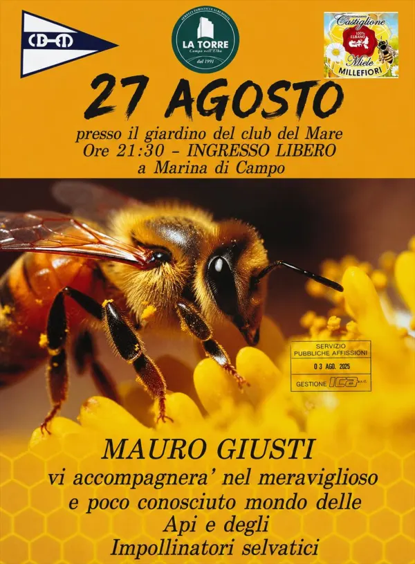 Il meraviglioso mondo delle api