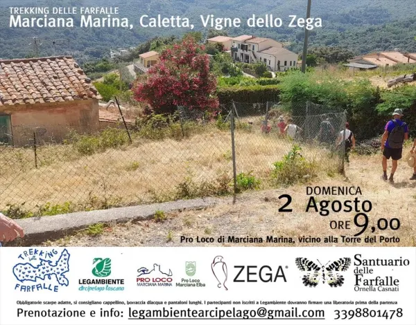 Trekking delle farfalle