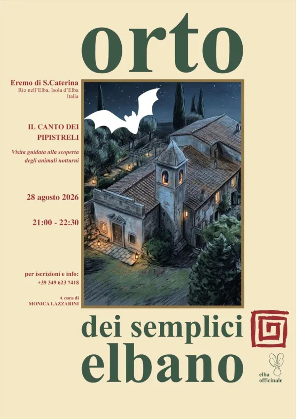 Il canto dei pipistrelli