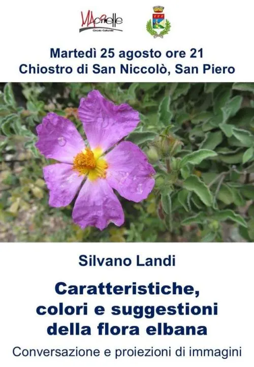 Caratteristiche, colori e suggestioni della flora elbana