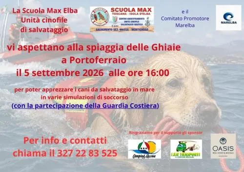 Dimostrazioni e prove in mare cani da salvataggio nautico