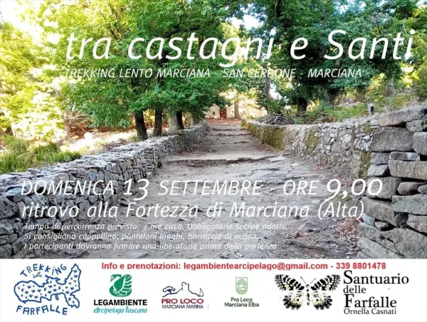 Trekking delle farfalle  - trekking lento tra castagni e santi