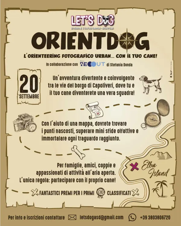OrientDog