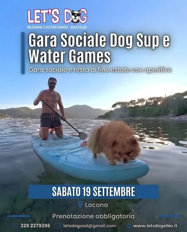 Gara sociale Dog Sup e Water Games
