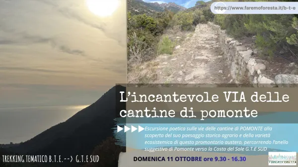  L'INCANTEVOLE VIA DELLE CANTINE DI POMONTE - TREKKING BOTANICO